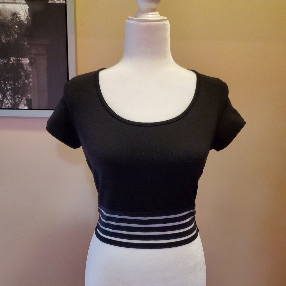 Matching High Wasted Skirt and Midriff Shirt Set